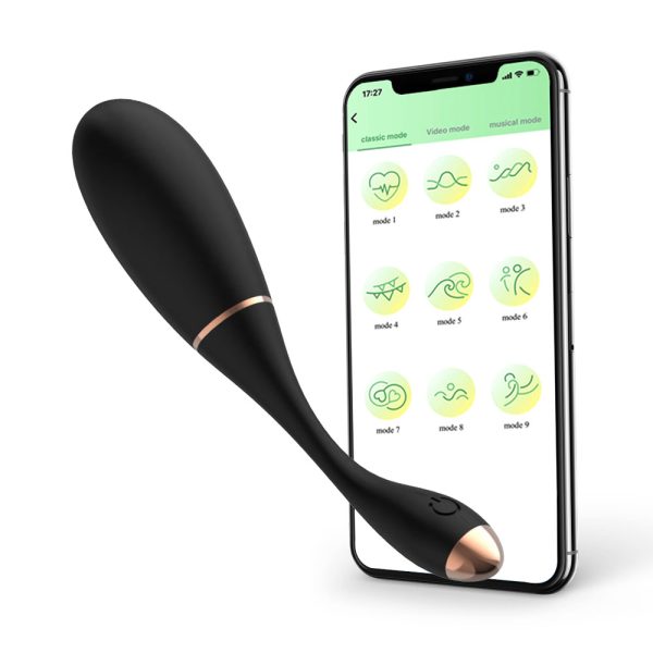 APP Controlled Voice Activated Vibrating Egg